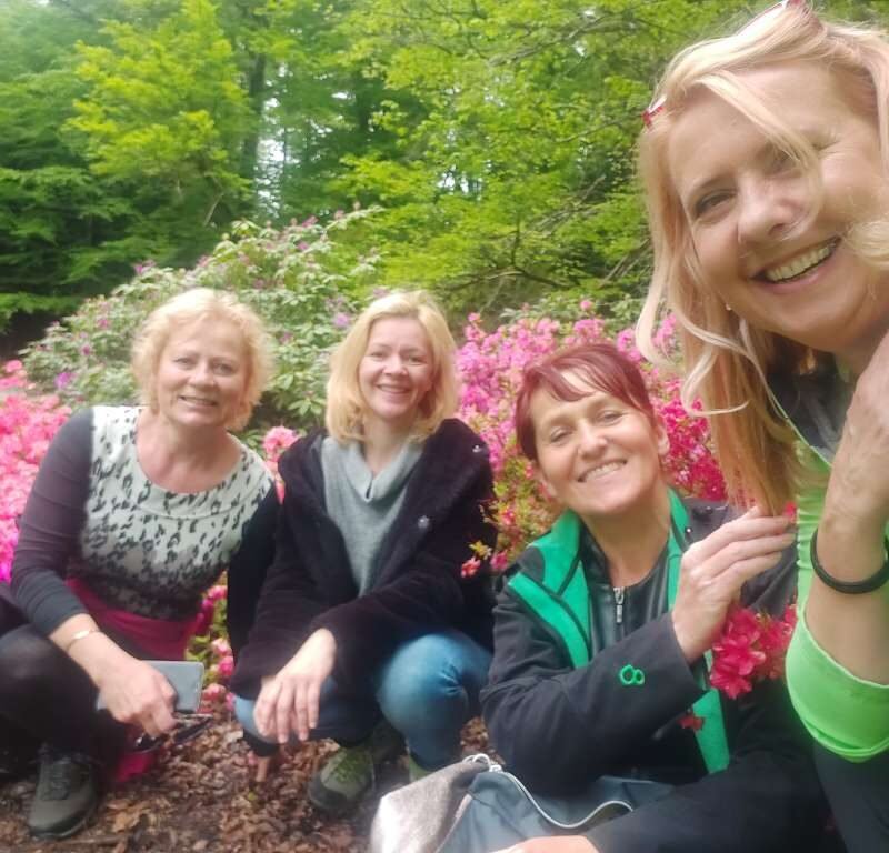 Art school learn painting (17)