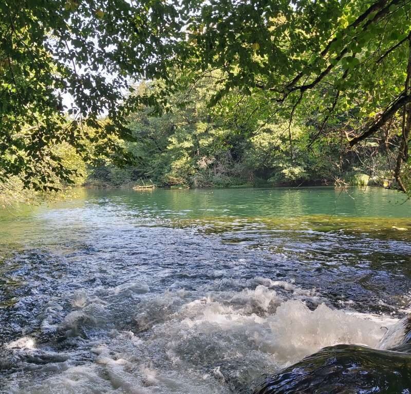 Art school learn painting (24)