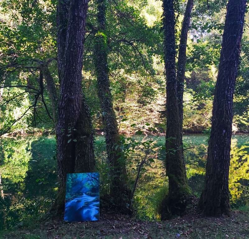 Art school learn painting (25)