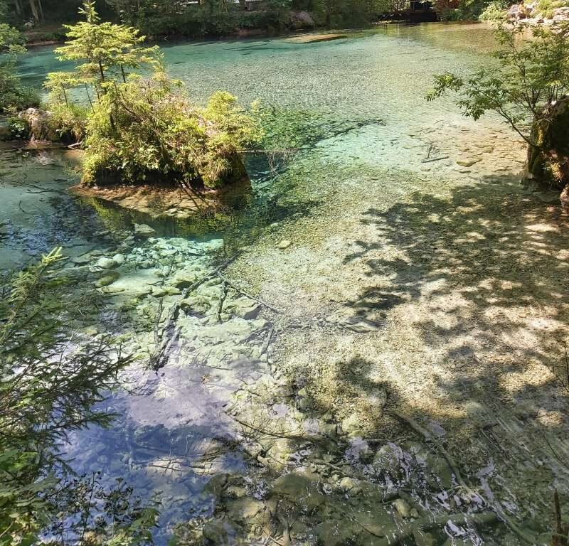 Art school learn painting (39)