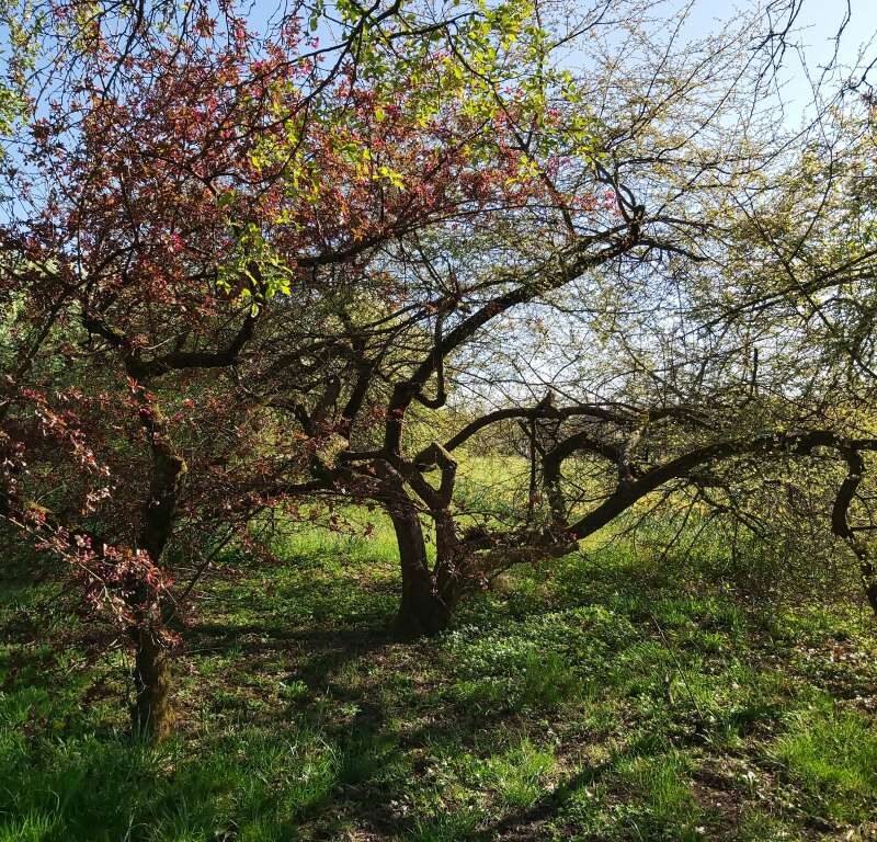 Art school learn painting (9)