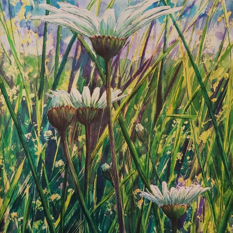Daisy Magic