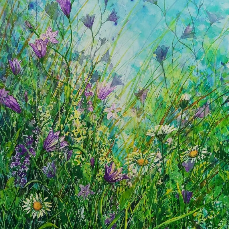 Campanula Magic, framed pigment (giclee) print