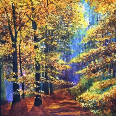 The Autumn Magic in Forest