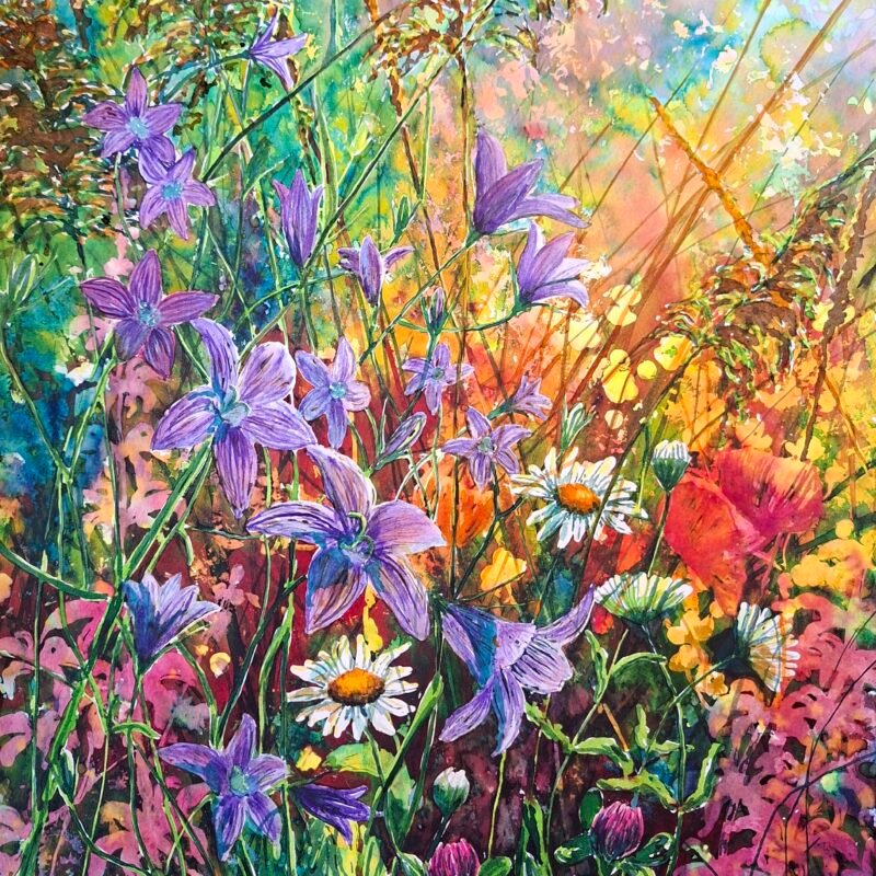 Visiting Meadow Fairies