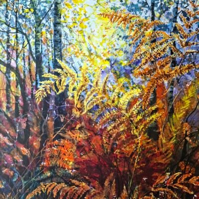 Fern from my Forest