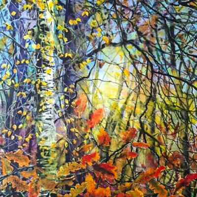 The Colours of Autumn